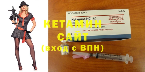 стаф Бородино