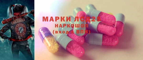 стаф Бородино