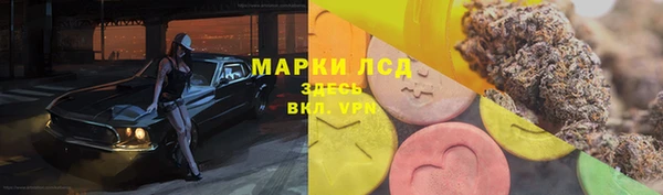 стаф Бородино