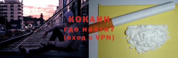 стаф Бородино