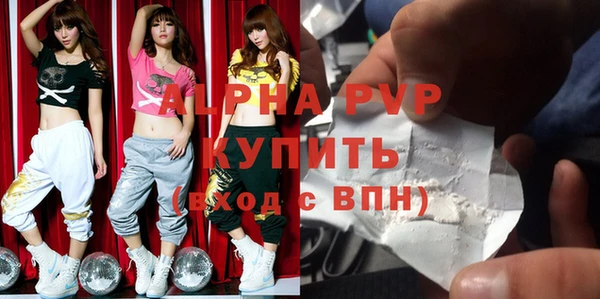стаф Бородино