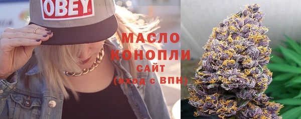 стаф Бородино