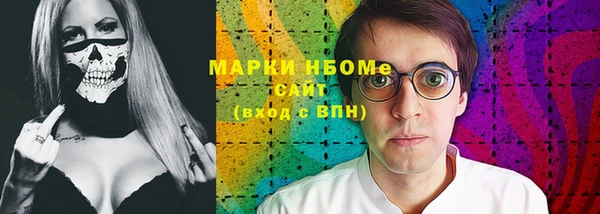 стаф Бородино