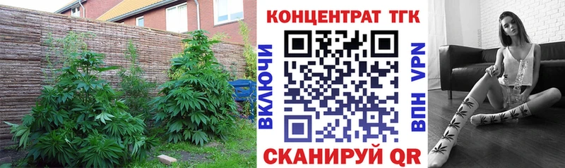 ТГК Wax  где купить наркотик  Шарыпово 